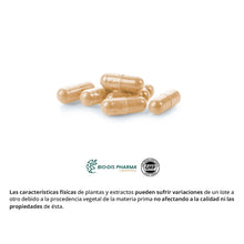 Cargar imagen en el visor de la galería, Jalea real 1000 mg. 60 cápsulas