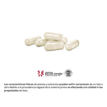 Cargar imagen en el visor de la galería, Chitosán + Piña + Vitamina C -100 capsulas Obire