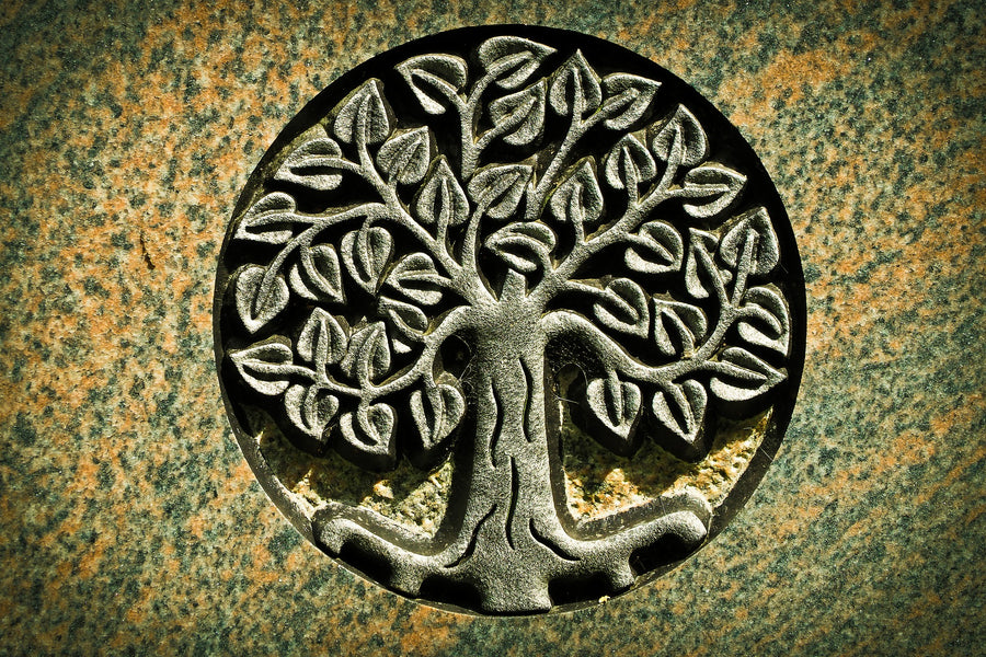 Árbol de la vida (significado multicultural)