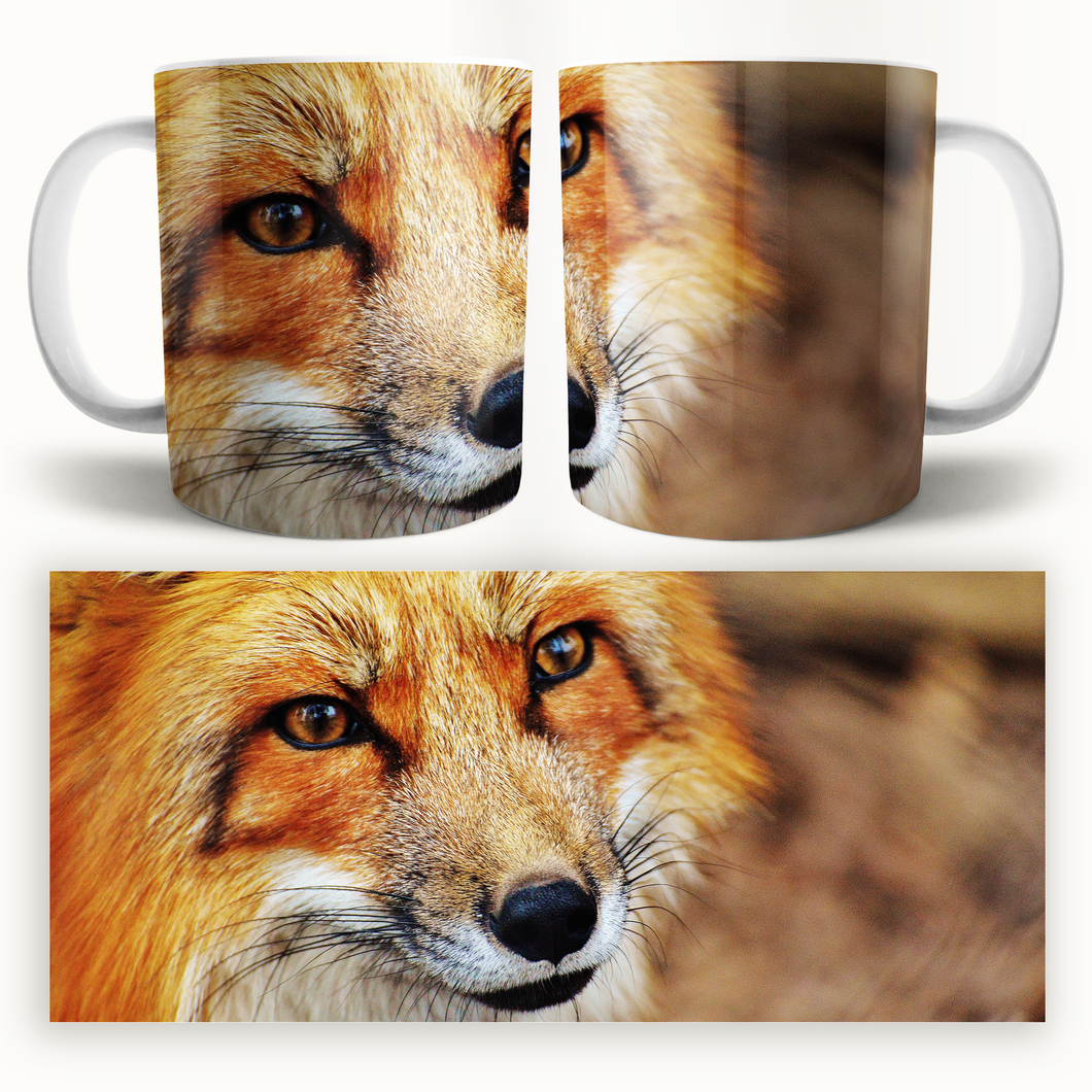 Taza Zorro