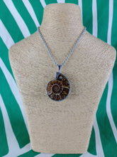 Cargar imagen en el visor de la galería, Colgante Amonites (Fósil) Mod. 1
