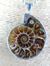 Cargar imagen en el visor de la galería, Colgante Amonites (Fósil) Mod. 1
