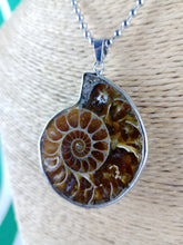 Cargar imagen en el visor de la galería, Colgante Amonites (Fósil) Mod. 1
