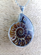 Cargar imagen en el visor de la galería, Colgante Amonites (Fósil) Mod. 1
