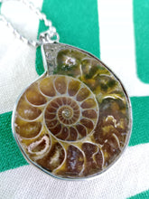 Cargar imagen en el visor de la galería, Colgante Amonites (Fósil) Mod. 1
