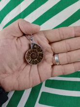 Cargar imagen en el visor de la galería, Colgante Amonites (Fósil) Mod. 1
