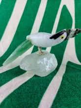 Cargar imagen en el visor de la galería, Cacatua
