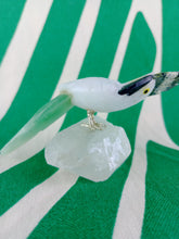 Cargar imagen en el visor de la galería, Cacatua
