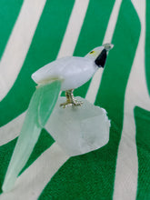 Cargar imagen en el visor de la galería, Cacatua
