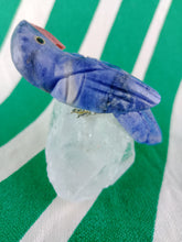 Cargar imagen en el visor de la galería, Loro Azul
