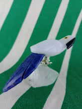 Cargar imagen en el visor de la galería, Loro Blanco
