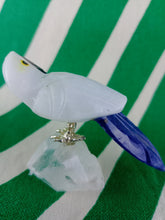 Cargar imagen en el visor de la galería, Loro Blanco
