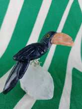 Cargar imagen en el visor de la galería, Tucan
