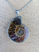 Cargar imagen en el visor de la galería, Colgante Amonites (Fosil) Mod. 2
