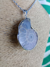 Cargar imagen en el visor de la galería, Colgante Amonites (Fosil) Mod. 2
