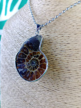 Cargar imagen en el visor de la galería, Colgante Amonites (Fosil) Mod. 2
