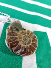 Cargar imagen en el visor de la galería, Colgante Amonites (Fosil) Mod. 2
