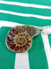 Cargar imagen en el visor de la galería, Colgante Amonites (Fosil) Mod. 2
