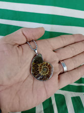Cargar imagen en el visor de la galería, Colgante Amonites (Fosil) Mod. 2
