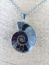 Cargar imagen en el visor de la galería, Colgante Amonites (Fosil) Mod. 10
