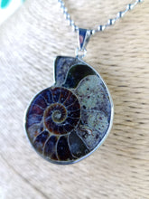 Cargar imagen en el visor de la galería, Colgante Amonites (Fosil) Mod. 10
