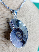 Cargar imagen en el visor de la galería, Colgante Amonites (Fosil) Mod. 10
