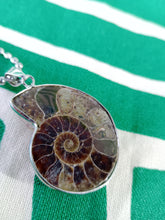 Cargar imagen en el visor de la galería, Colgante Amonites (Fosil) Mod. 10
