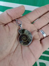 Cargar imagen en el visor de la galería, Colgante Amonites (Fosil) Mod. 10
