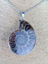 Cargar imagen en el visor de la galería, Colgante Amonites (Fosil) Mod. 11

