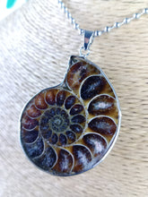 Cargar imagen en el visor de la galería, Colgante Amonites (Fosil) Mod. 11
