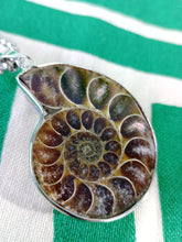 Cargar imagen en el visor de la galería, Colgante Amonites (Fosil) Mod. 11
