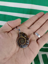 Cargar imagen en el visor de la galería, Colgante Amonites (Fosil) Mod. 11

