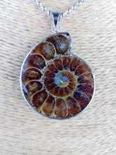 Cargar imagen en el visor de la galería, Colgante Amonites (Fosil) Mod. 3
