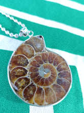 Cargar imagen en el visor de la galería, Colgante Amonites (Fosil) Mod. 3
