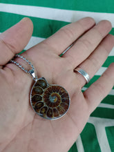 Cargar imagen en el visor de la galería, Colgante Amonites (Fosil) Mod. 3
