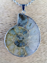 Cargar imagen en el visor de la galería, Colgante Amonites (Fosil) Mod. 7
