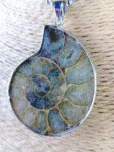 Cargar imagen en el visor de la galería, Colgante Amonites (Fosil) Mod. 7
