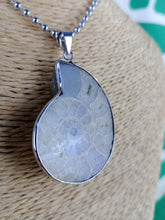 Cargar imagen en el visor de la galería, Colgante Amonites (Fosil) Mod. 7
