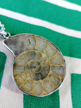 Cargar imagen en el visor de la galería, Colgante Amonites (Fosil) Mod. 7
