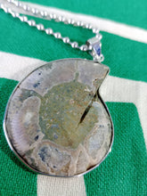 Cargar imagen en el visor de la galería, Colgante Amonites (Fosil) Mod. 7
