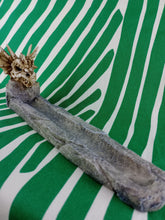 Cargar imagen en el visor de la galería, Quemador de incienso Calavera Dragon
