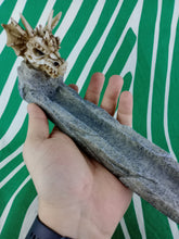 Cargar imagen en el visor de la galería, Quemador de incienso Calavera Dragon
