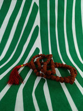 Cargar imagen en el visor de la galería, Japamala Rudraksha 8 mm
